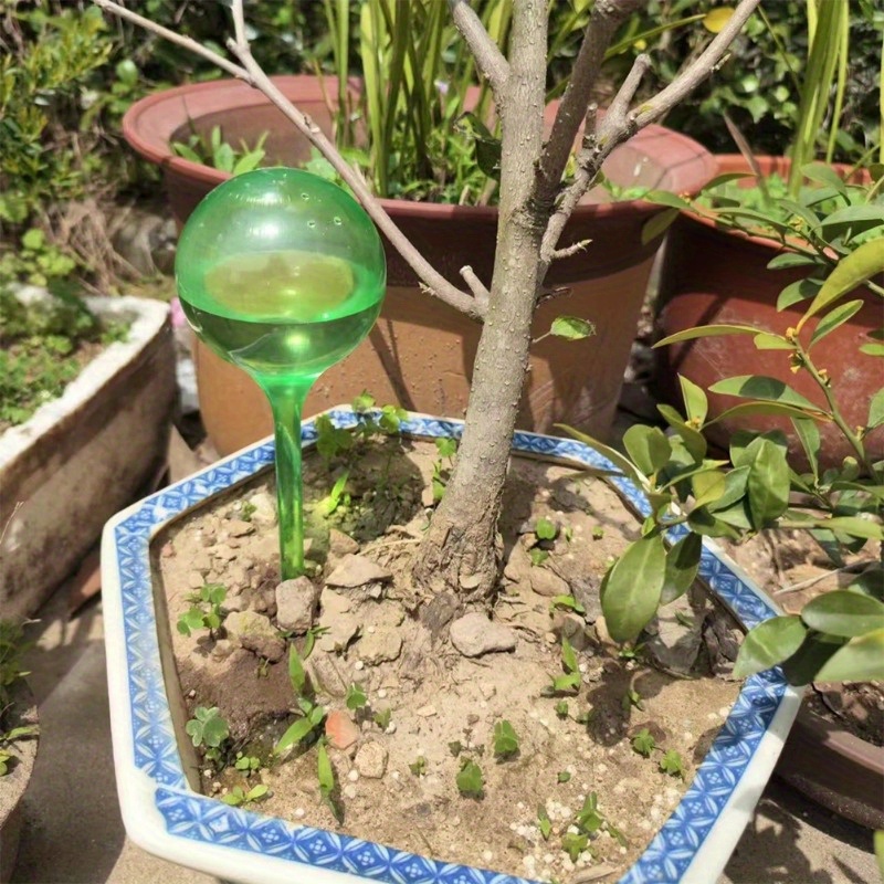 ลูกบอลรดน้ำต้นไม้ในร่ม 6 ชิ้น  - Urban Farming System บทวิจารณ์และราคา